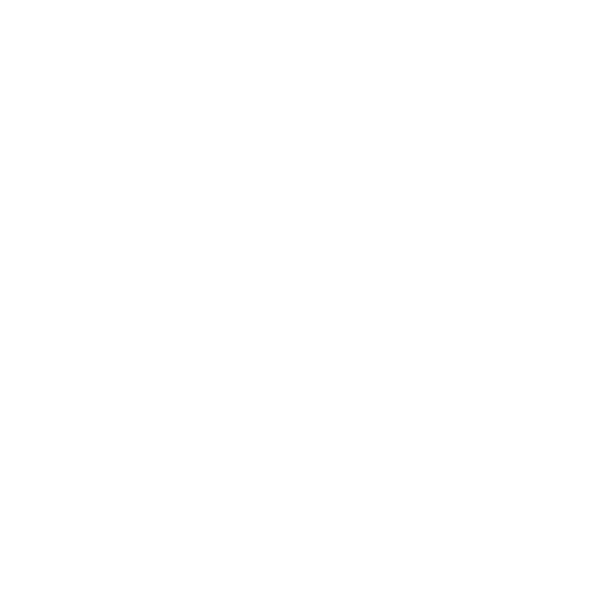 Icon1