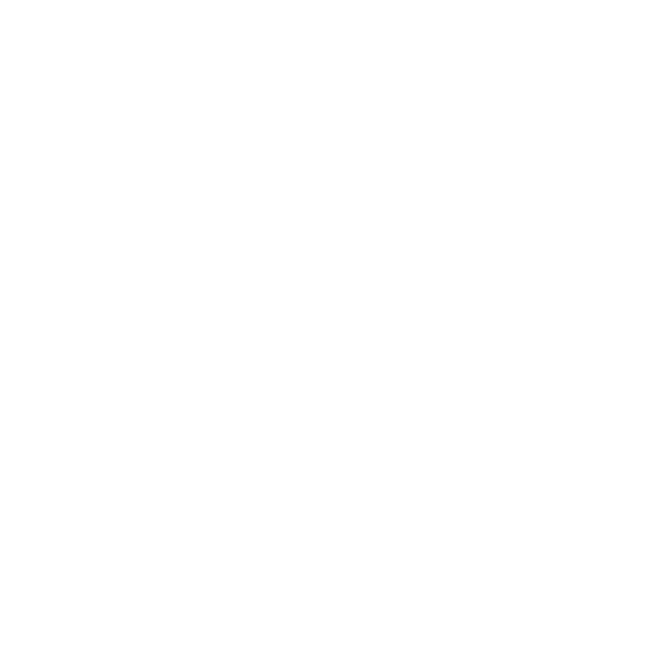 Icon2
